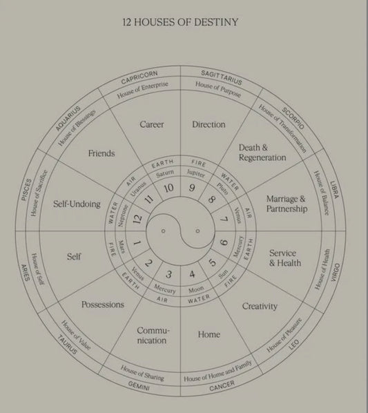Birth/Natal Chart Reading